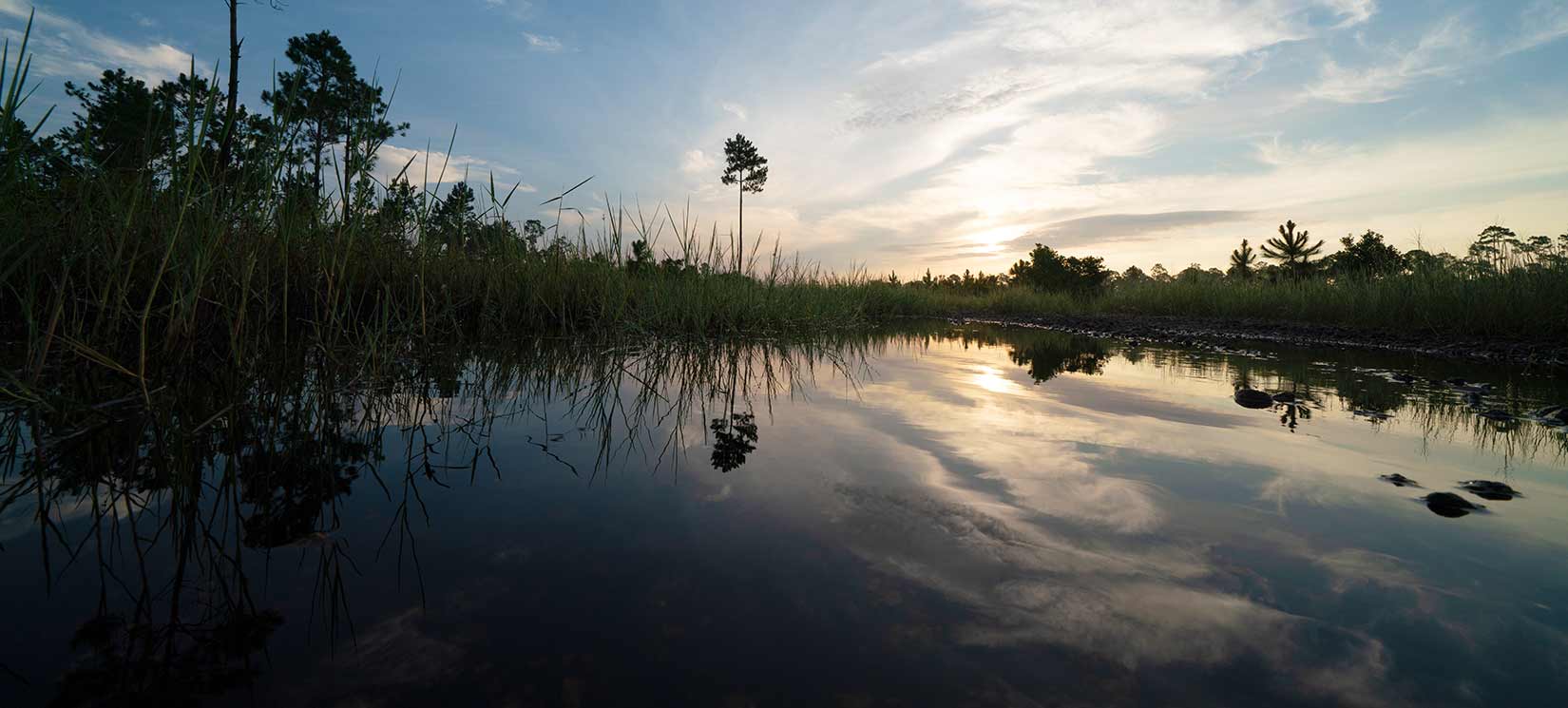 Deering Park lifestyle Master Planned Community - Stormwater Management Wetlands Program