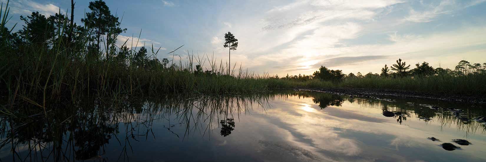 Deering-Park-Lake-Water-Beauty