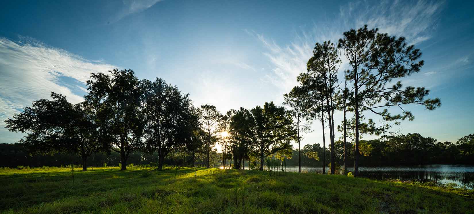 Deering Park lifestyle Master Planned Community - Stormwater Management Wetlands Program