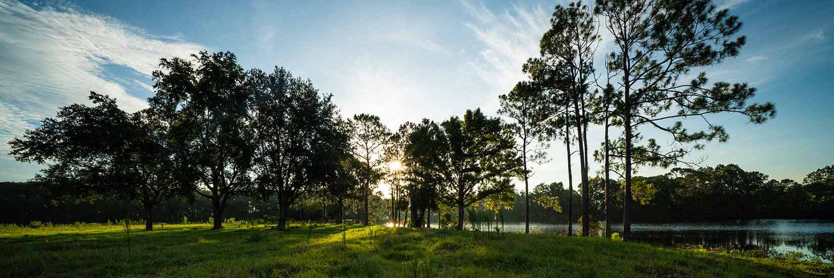 Landscape Beauty Abounds at Deering Park and Farmton